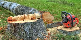 Best Stump Grinding and Removal  in Ester, AK