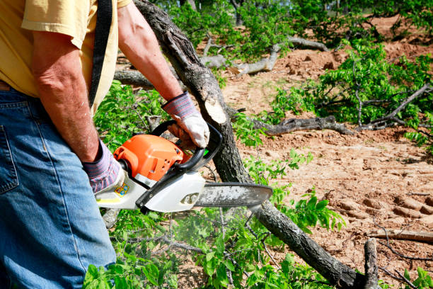 Best Weed Control  in Ester, AK